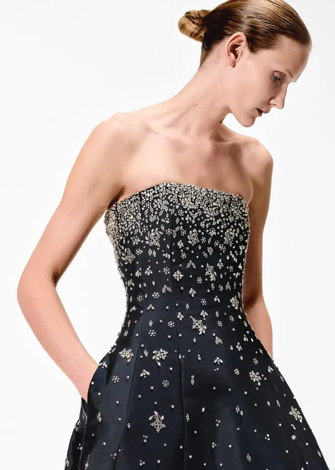 Adam Lippes Embellished Gown In Silk Mikado Black Womens Dresses
