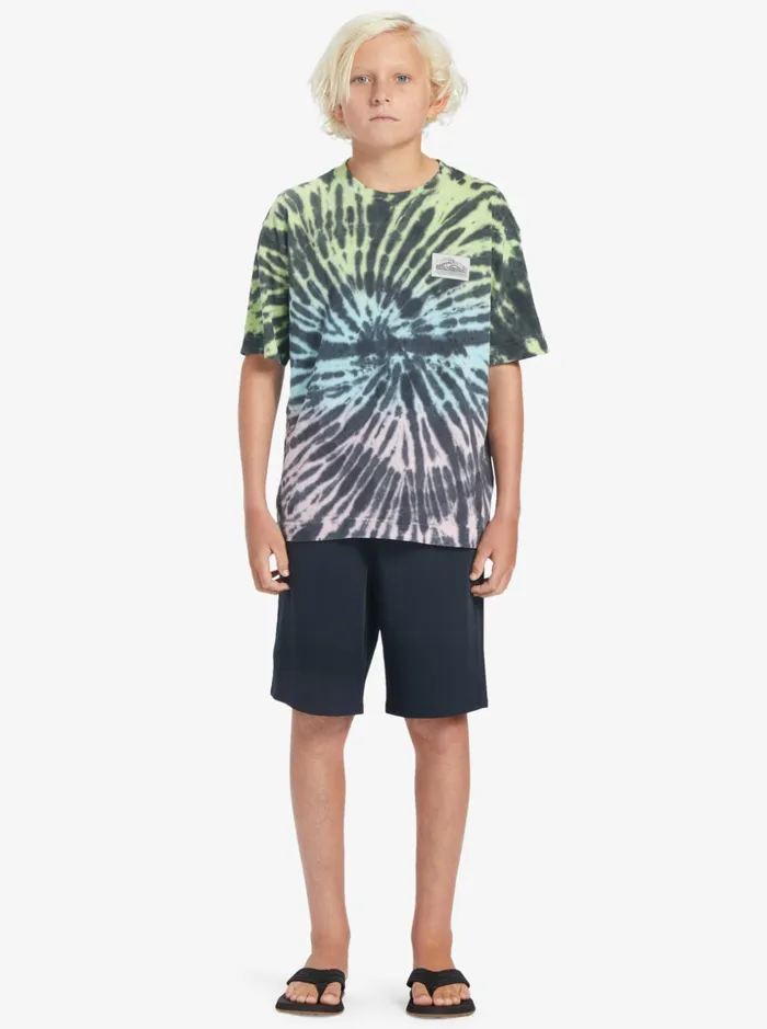 Boys Quiksilver Tees Radical Times TShirt Paradise Green Gradiant Spiral Boys Quiksilver Tees Radical Times TShirt Paradise Green Gradiant Spiral