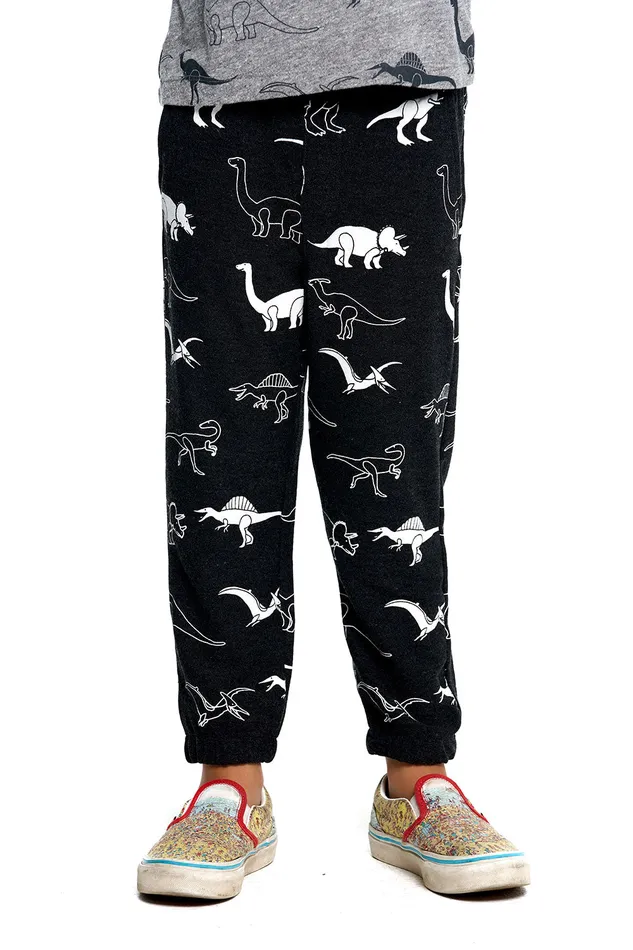 Chaser Brand Bottoms Boys Dino Jam Pants