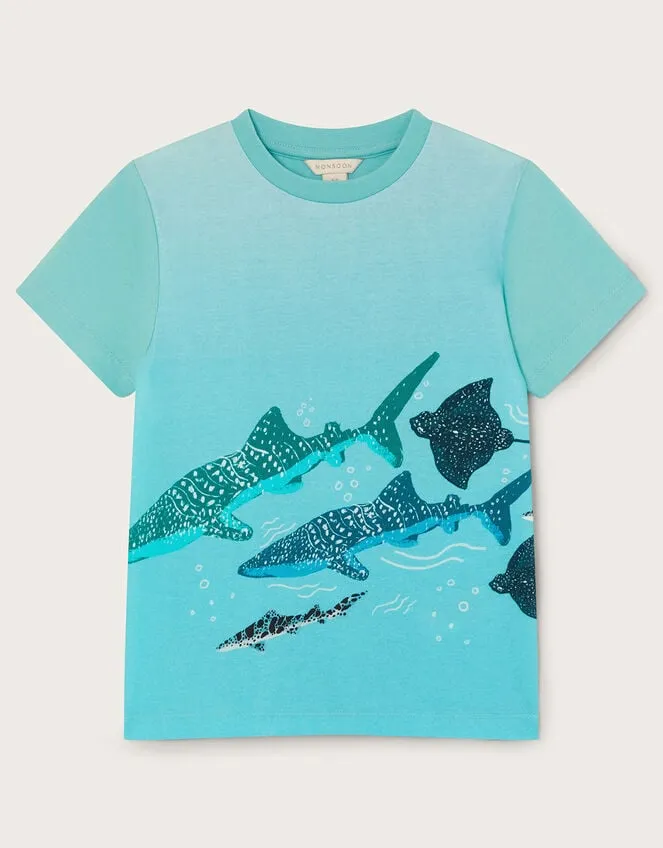 Children Ombre Sea TShirt Blue Monsoon Tops and TShirts