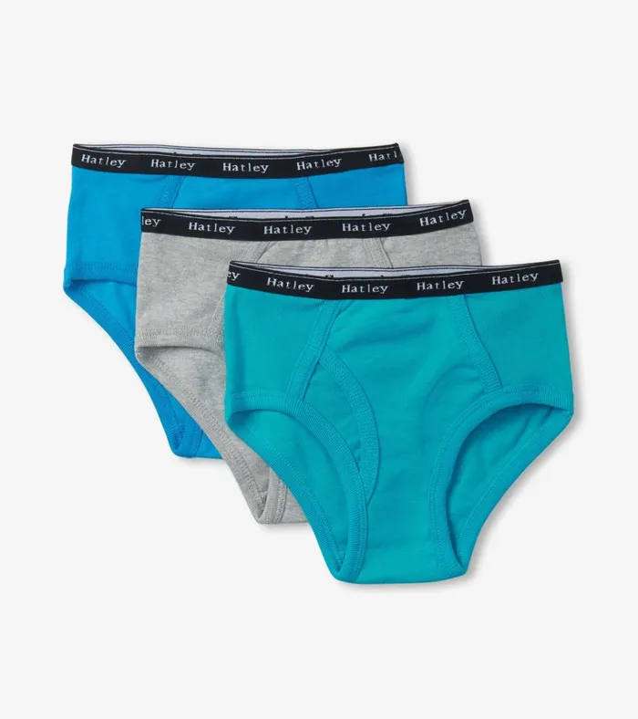 Hatley Boys Solid 3 Pack Classic Briefs Boys Underwear
