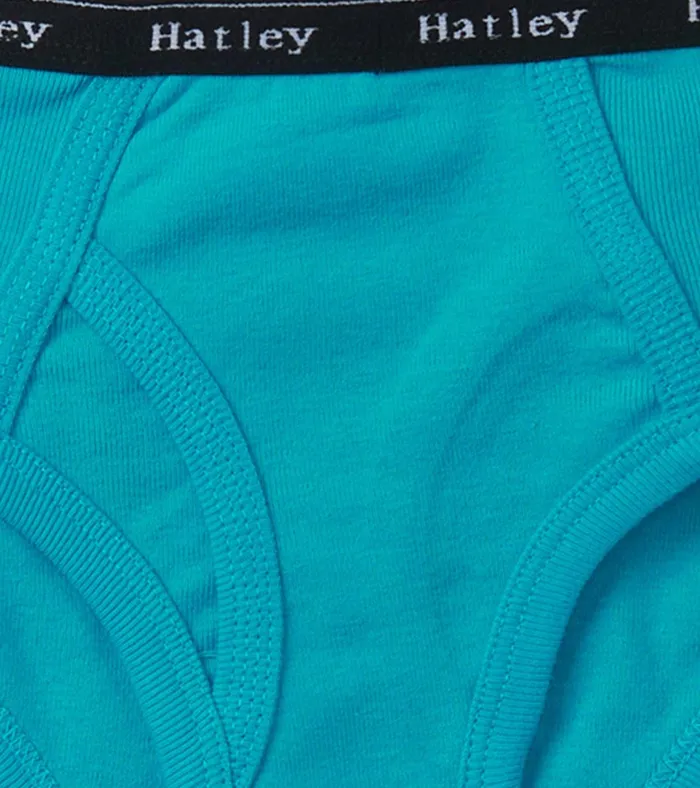 Hatley Boys Solid 3 Pack Classic Briefs Boys Underwear