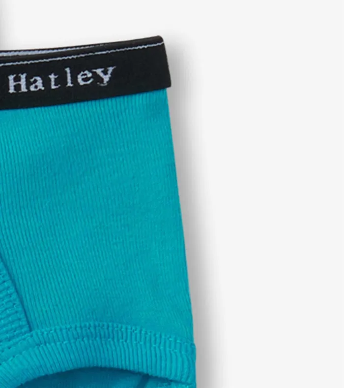 Hatley Boys Solid 3 Pack Classic Briefs Boys Underwear