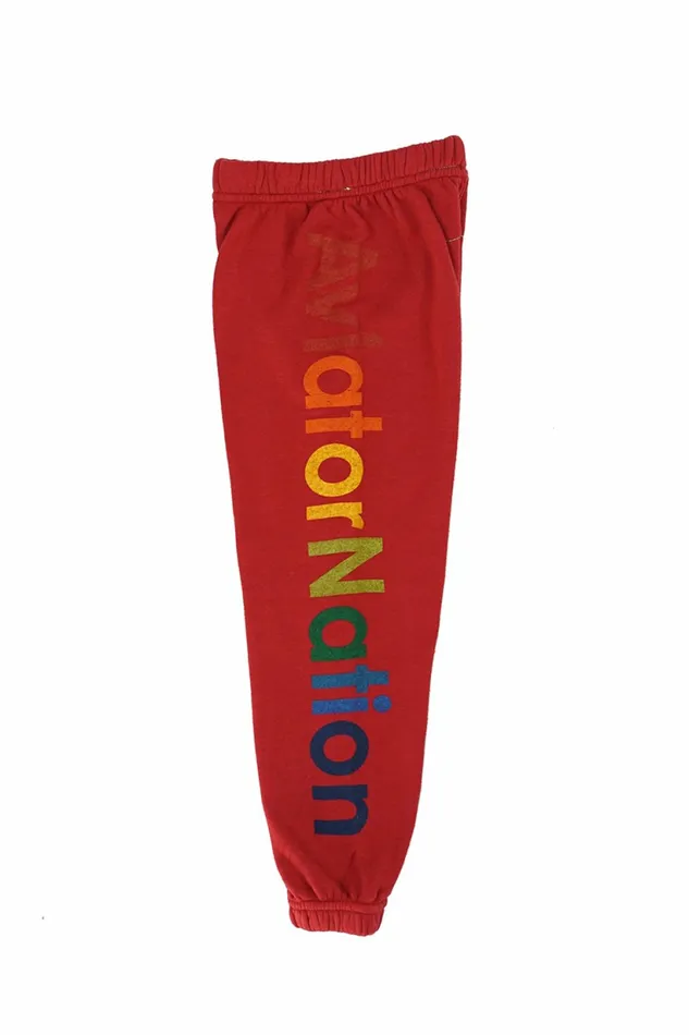 Kids KID039S AVIATOR NATION SWEATPANTS 8211 RED Aviator Nation