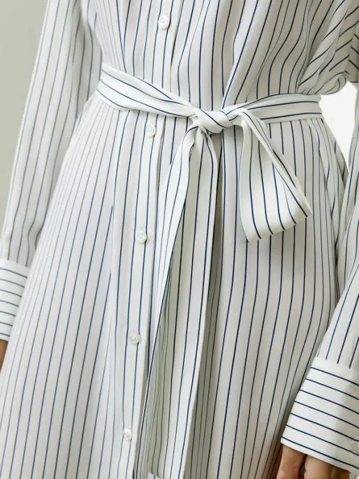 Lilysilk Pinstriped Silk Shirtdress With Shell Buttons Women Jumpsuits Dresses