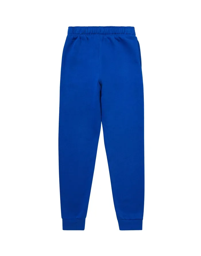 Little Kids039 Fleece And Mesh Joggers Script Over C Logos 1875034 Surf The Web Kids Champion Pants