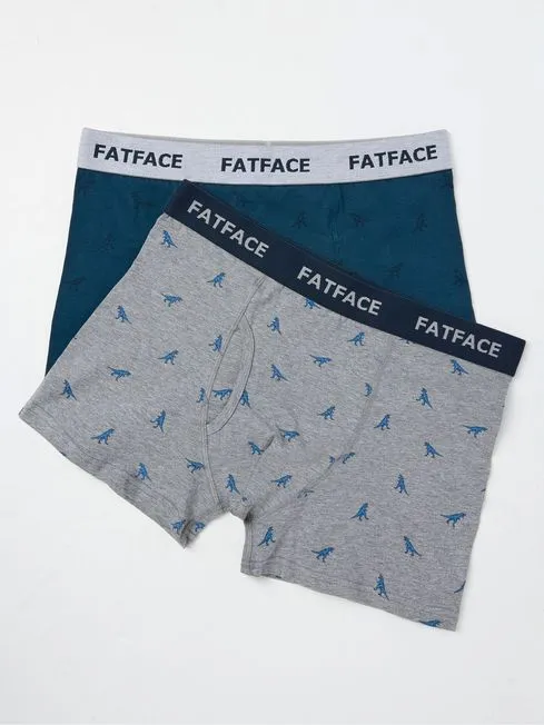 Men Fatface Underwear Grey Dinosaur Boxers 2 Pack