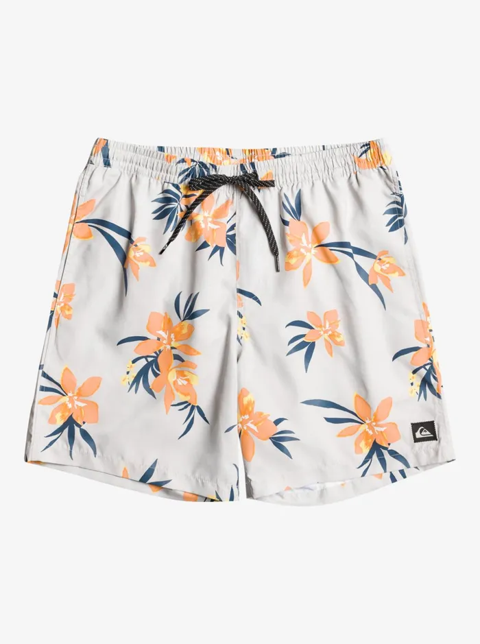 Men Quiksilver Boardshorts Everyday Mix 17034 Volleys Grey Violet