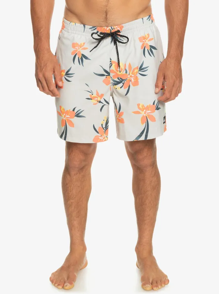 Men Quiksilver Boardshorts Everyday Mix 17034 Volleys Grey Violet Men Quiksilver Boardshorts Everyday Mix 17034 Volleys Grey Violet