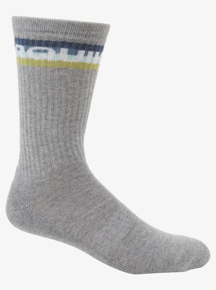 Men Quiksilver Socks and Underwear 2 Pack Everyday Swell Crew Socks Ivory Heather Men Quiksilver Socks and Underwear 2 Pack Everyday Swell Crew Socks Ivory Heather