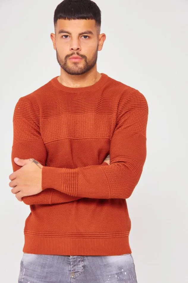 Men Textured Knit Jumper With Crew Neck In Brown Brown Brentiny Paris Sweatshirts and Pullovers