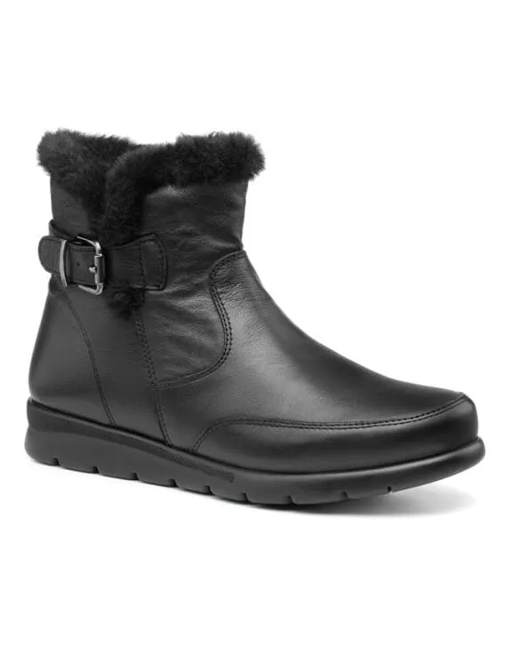 Millom II Boots Black Women Hotter Ankle Boots
