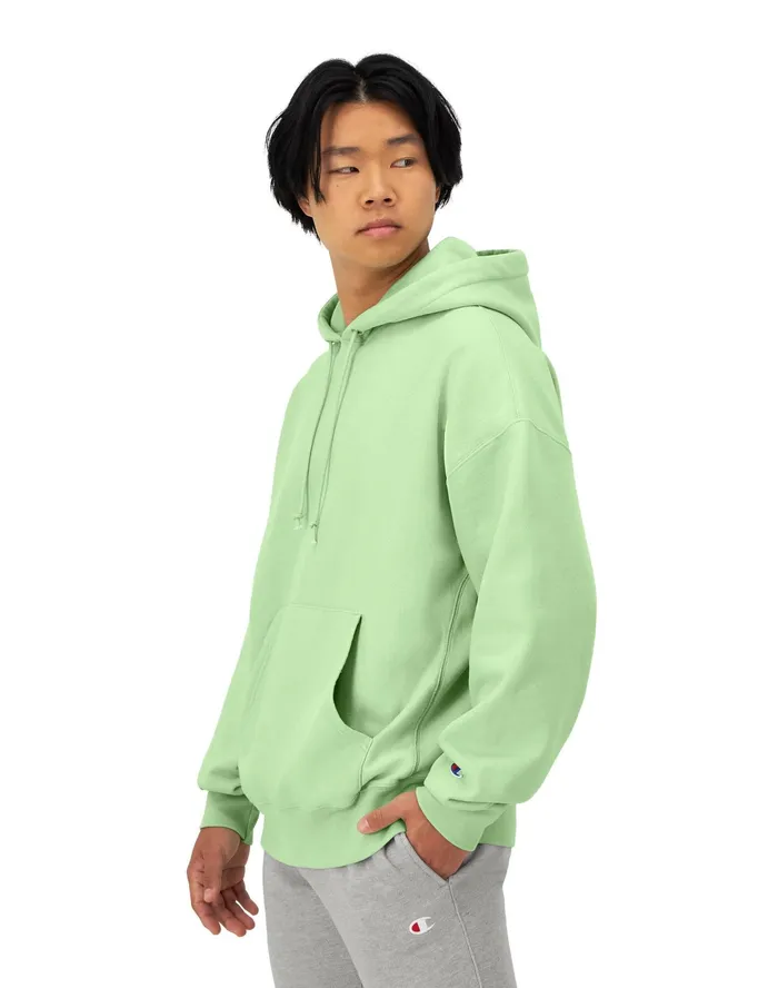 Reverse Weave Arena Hoodie Washed Cresting Wave Grn Men Champion Hoodies and Sweatshirts