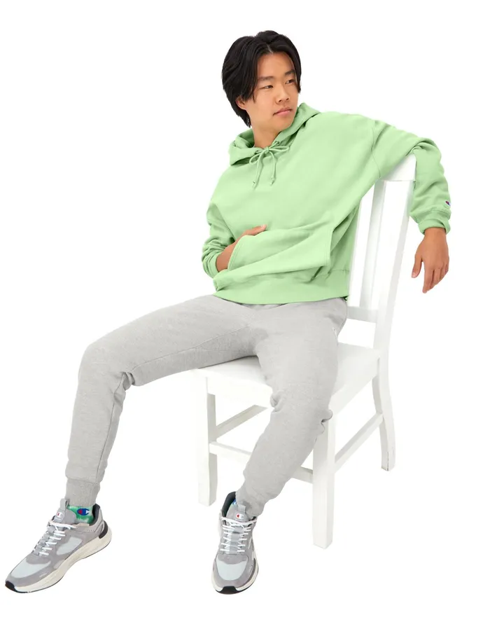 Reverse Weave Arena Hoodie Washed Cresting Wave Grn Men Champion Hoodies and Sweatshirts