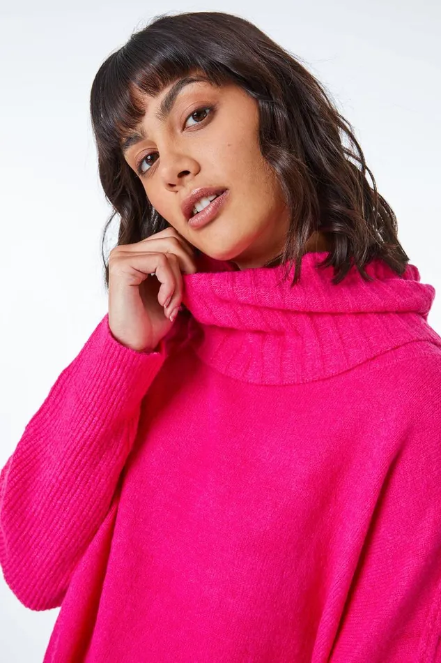 Women Fuchsia Relaxed Roll Neck Jumper Roman Knitwear
