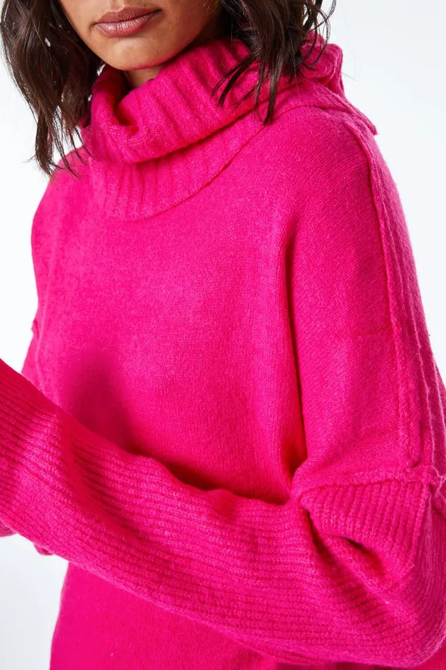 Women Fuchsia Relaxed Roll Neck Jumper Roman Knitwear