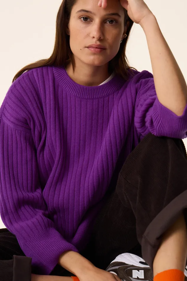 Women Jumper Aristou Violette Pull Laine Mrinos Violet Des Petits Hauts Jumpers and Cardigans