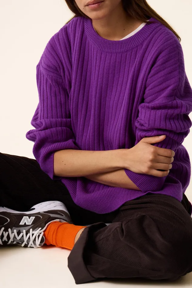 Women Jumper Aristou Violette Pull Laine Mrinos Violet Des Petits Hauts Jumpers and Cardigans