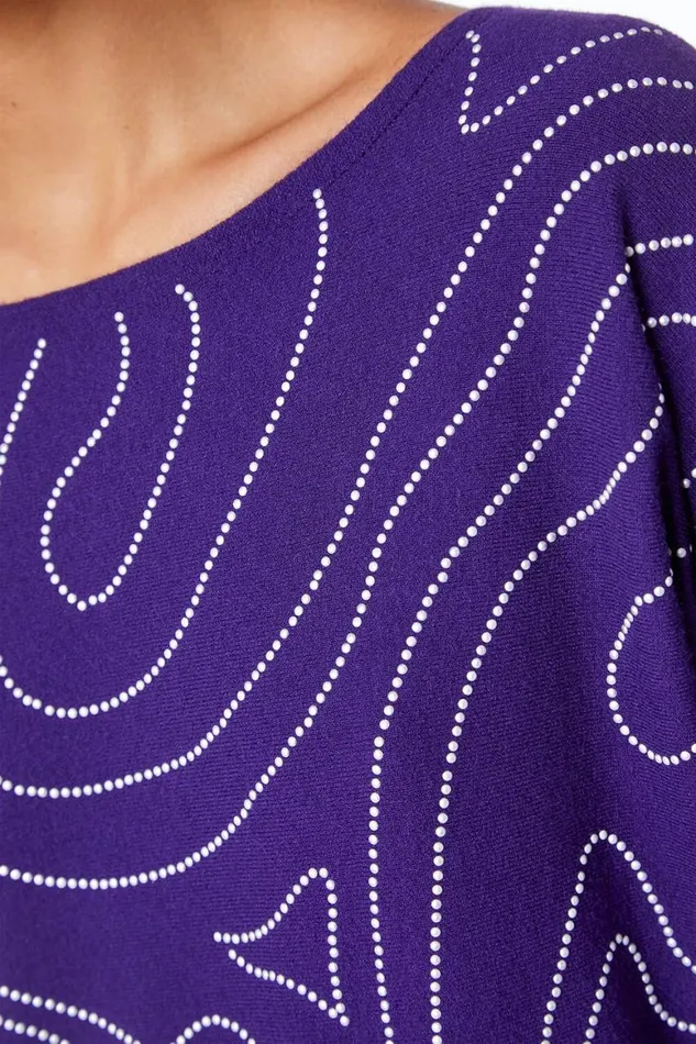 Women Purple Embellished Linear Print Jumper Roman Tops