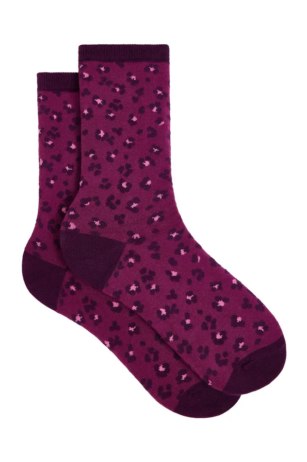 Women Socks Waloula Leo Bruyere Chaussettes Coton Lopard Des Petits Hauts Shoes and Socks